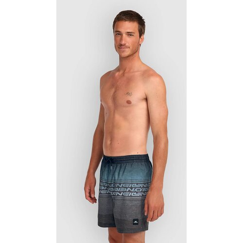 O'neill Logo Stripe 16'' Boardshorts black out hrtge onl strp Cene
