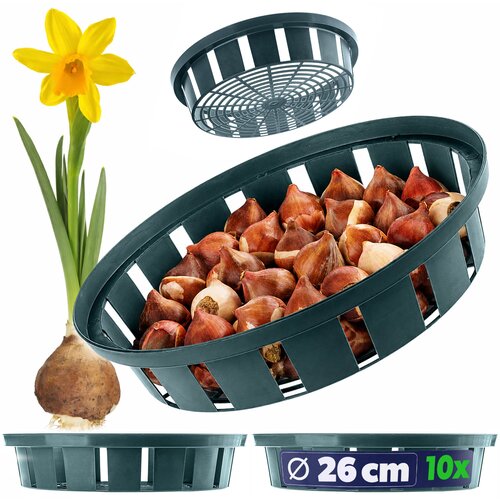KADAX košara za sajenje tulipanov, čebulice cvetov, 22 cm, 10 kosov, (5000346338) Cene