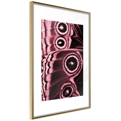  Poster - Butterfly Wings 20x30 Slike