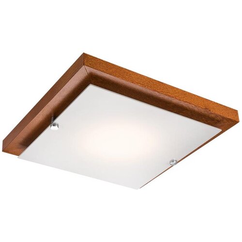  LED plafonsko svetlo LED/12W/230V Cene