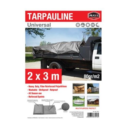 Praxis za&amp;scaron;titna cerada tarpaulin 2x3m 80gr Slike