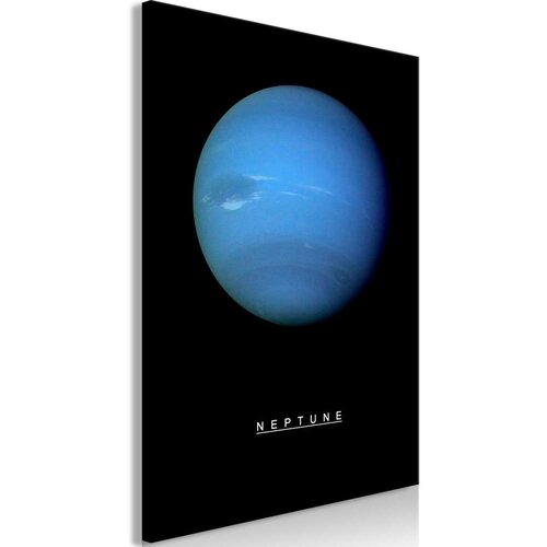  Slika - Neptune (1 Part) Vertical 40x60 Cijene