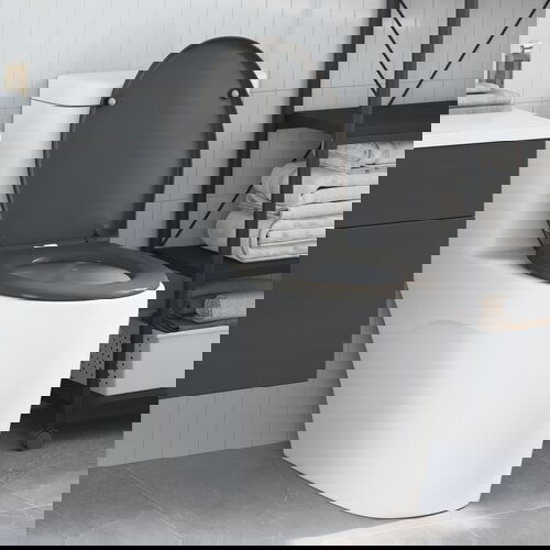 VidaXL Antracit Duroplast Standard Toaletno sjedalo Ovalno Suvremeno Slike