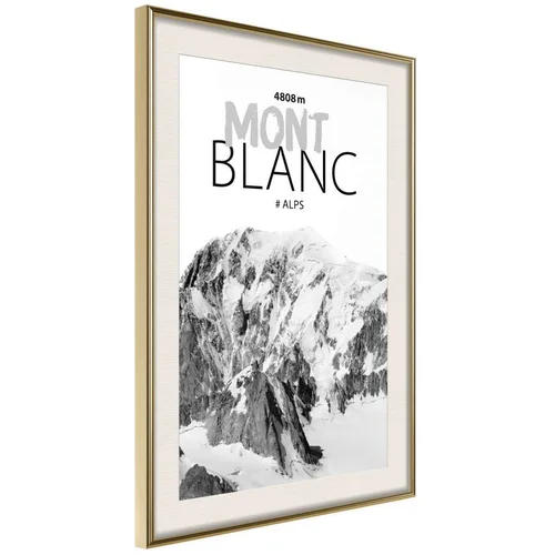  Poster - Peaks of the World: Mont Blanc 20x30