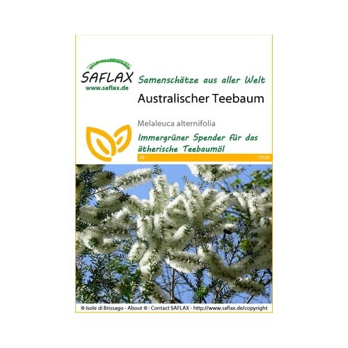 Saflax Avstralski čajevec Cene