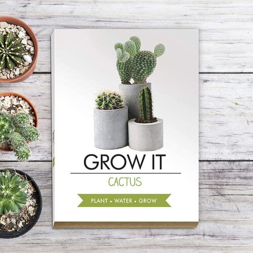  Grow it - kaktus Cene