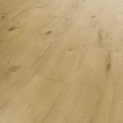 B!DESIGN Podna vinilna obloga SPC Conway Bukva (1.220 x 181 x 3,5 mm, Rustikalni pod) + BAUHAUS jamstvo 25 godina Cijene