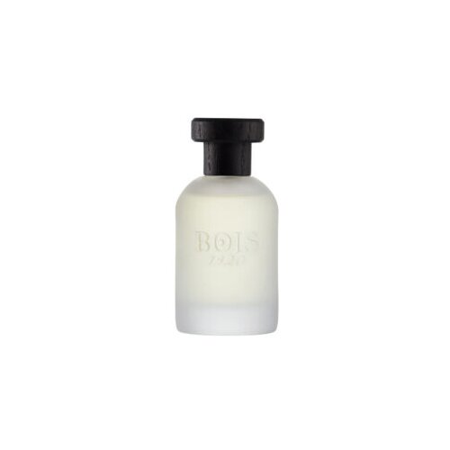 Bois 1920 classic 1920 eau de parfum 100ml Cene