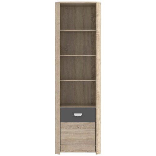 CARRYHOME Regal Yoop, Barva Hrasta, Antracit Cene