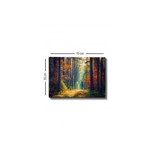 Wallxpert Slika na zidu na platnu 50x70cm Slike