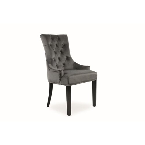 Molarem Home Stolica Edward-siva Cene