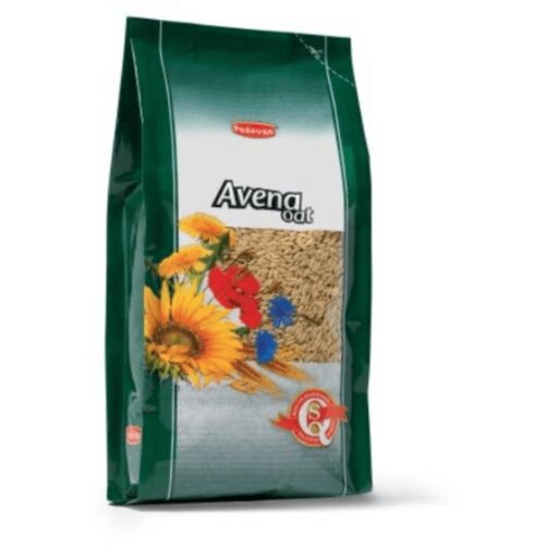 Padovan Ovas Seme 20kg Cene