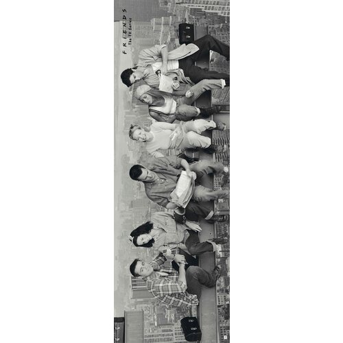 Friends PLAKAT PUERTA SKYBOTHER, (20837717) Slike