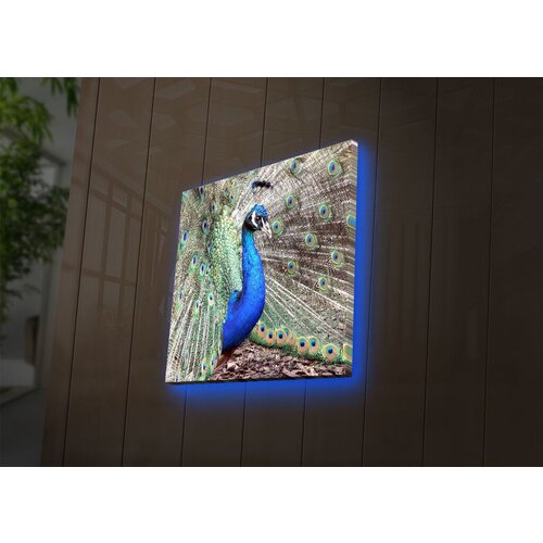 Wallity Slika sa LED osvetljenjem 4040DACT-45, 40x40 cm Cene