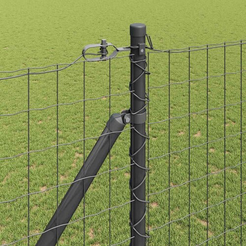 Euro ograda s &amp;scaron;picama 10 x 1,6 m Čelik premazan PVC-om Siva Slike