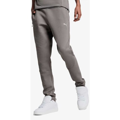 Puma Donji dio trenerke EVOSTRIPE Pants DK op Cijene