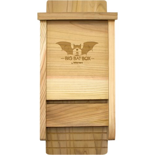 Single Chamber Bat House - cedra Cene