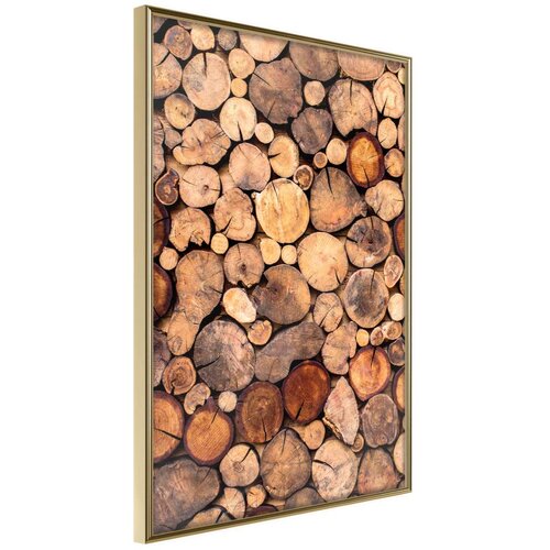  Poster - Log Pile 40x60 Slike