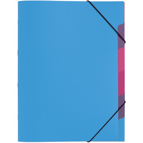 Pagna Organizator mapa Funky School, DIN A4, PP, 5 predelkov, (21652131) Cene