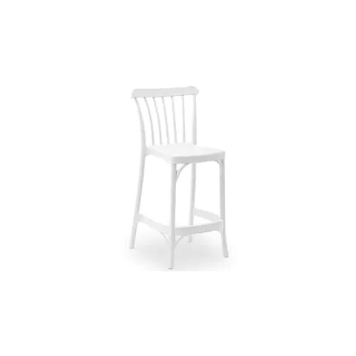 Tilia barska stolica gozo 65 bela Slike