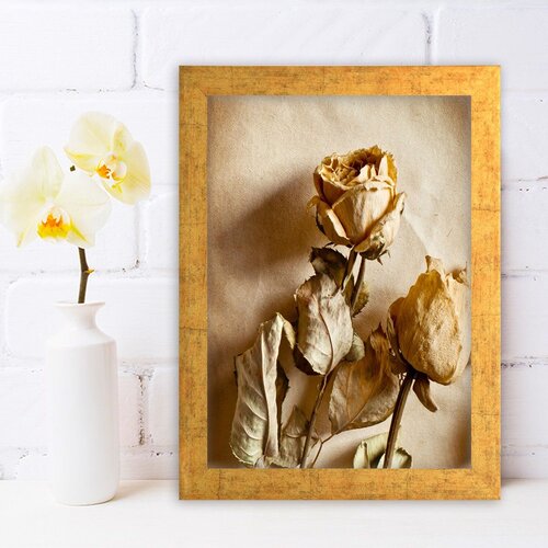 Wallity slika AC970629474, 24x29cm Cijene