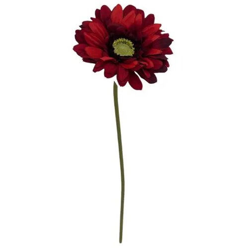  Rezano cvijeće grana gerber 48 cm crveni Cijene