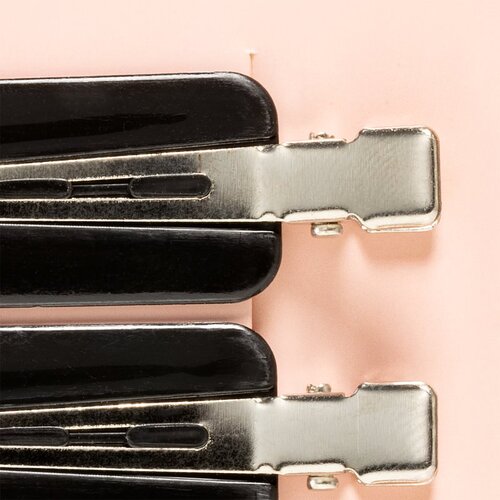 BrushArt Hair Clip sponke za lase Black odtenek Slike
