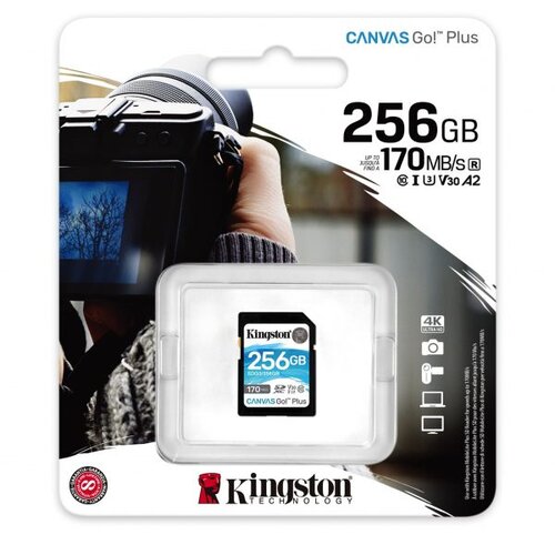 Kingston SD 256GB CanvasGoPlus Cijene