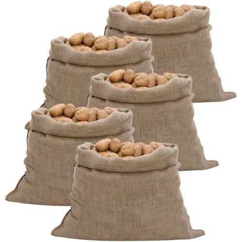 VidaXL Jutene vreće 5 kom 100 x 110 cm 100 % juta 220 g/m&amp;sup2; Slike