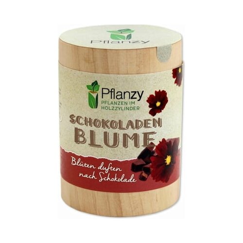 Feel Green Planty "čokoladni cvet" Cene