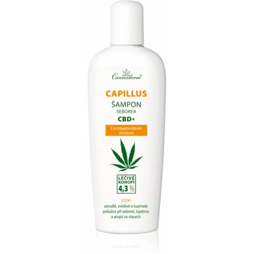 Cannaderm Seborea CBD+ šampon protiv peruti 150 ml