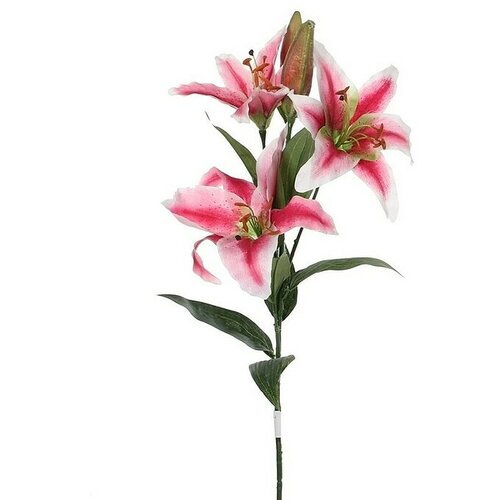  Umjetni cvijet Ljiljan (Visina: 75 cm, Roze boje, Plastika) Cijene