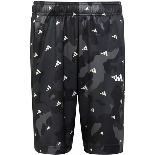 Adidas Športne hlače 'Seasonal ' siva / črna / bela