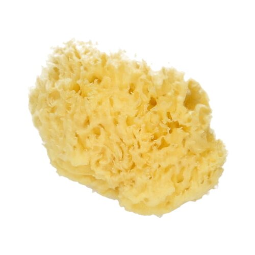 Koutouzis Natural Sea Sponges Prirodna spužva &amp;quot;Honeycomb&amp;quot; - M Slike