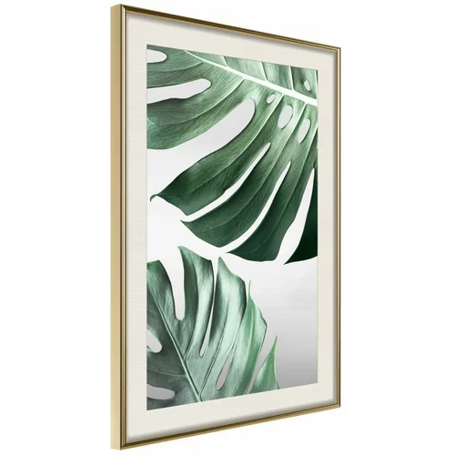  Poster - Leaves Like Swiss Cheese 40x60