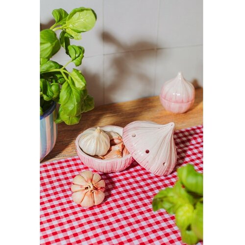 Sass &amp;amp; Belle Posuda za namirnice za luk i če&amp;scaron;njak Garlic &amp;ndash; Slike