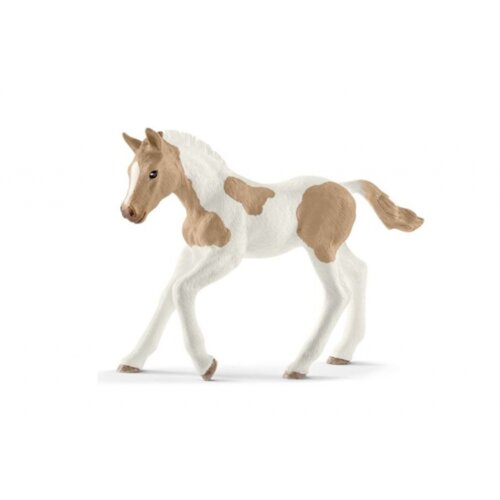 Olimp Sport Paint konj ždrebe Cene