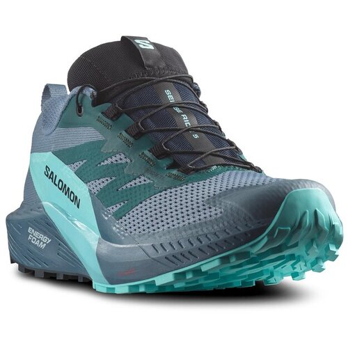 Salomon sense ride 5 gtx 471474 Cijene