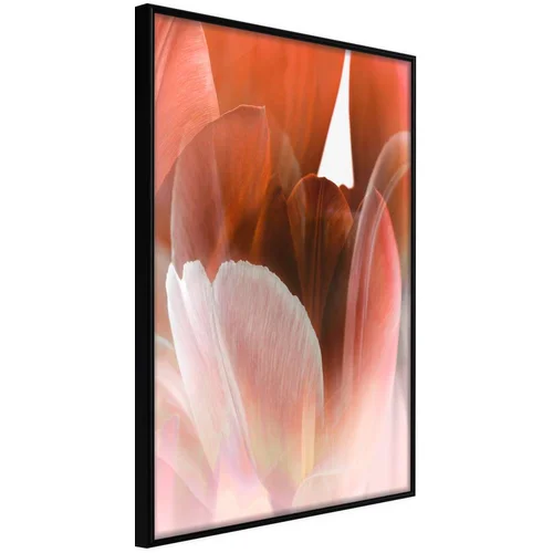  Poster - Tulip Petals 20x30