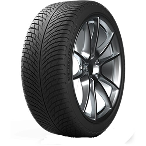 Michelin Pilot Alpin 5 ( HL285/40 R20 111V XL * ) Cene