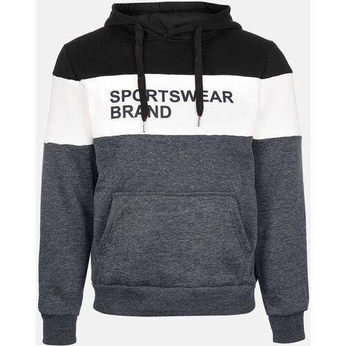 Gemre Gray men&amp;#039;s hoodie with lettering Slike