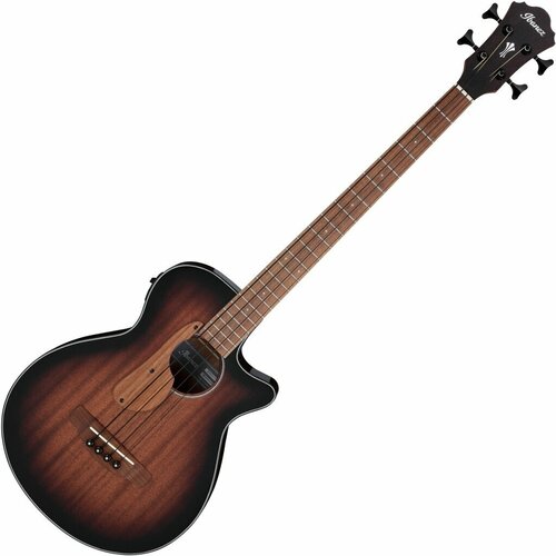 Ibanez AEGB24E Akustična gitara Slike