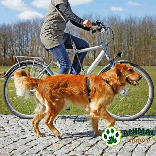 Trixie povodac za bicikl i trčanje za pse, dužina povoca 1m-2m Slike