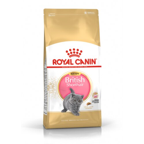 Royal Canin FBN British Shorthair KITTEN, potpuna i uravnotežena hrana za mačiće, specijalno za mačiće pasmine Britanska krtkodlaka mačka u dobi do 12 mjeseci, 2 kg Slike