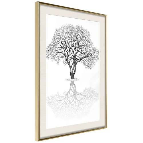  Poster - Roots or Treetop? 40x60