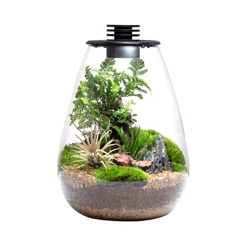 Bioloark Bio Bottle model SD - 200 Cene