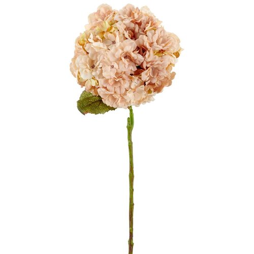 Mömax Umetna Rastlina Hortensie I -Paz- Cene