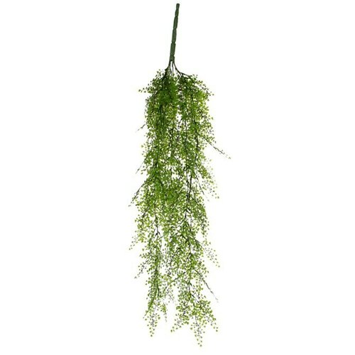  Umjetna biljka Čempres (Visina: 95 cm, Zelene boje, Plastika) Slike