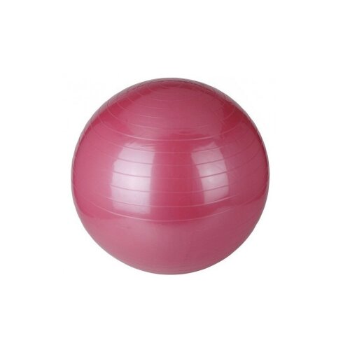 Capriolo PILATES LOPTA 65CM PINK Cene