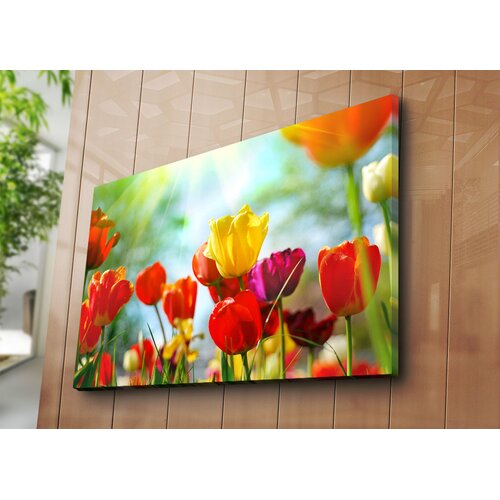 Opviq Slika na zidu na platnu 70x100cm Cijene